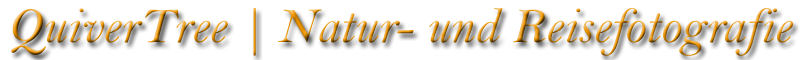QuiverTree | Natur- und Reisefotografie