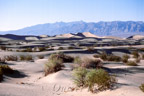 Death Valley N.P., Mesquite Flat Sand Dunes