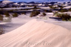 Death Valley N.P., Mesquite Flat Sand Dunes