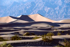 Death Valley N.P., Mesquite Flat Sand Dunes