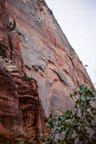 Zion N.P., Court of the Patriarchs