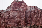 Zion N.P.
