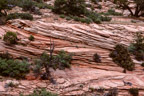 Zion N.P., Checkerboard Mesa
