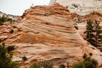 Zion N.P., Checkerboard Mesa