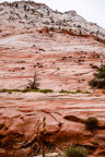 Zion N.P., Checkerboard Mesa