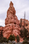 Red Canyon, Dixie National Forest