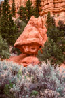Red Canyon, Dixie National Forest