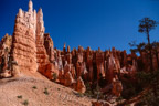 Bryce Canyon N.P. und Capitol Reef N.P.