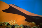 Dünenlandschaft, Sossusvlei