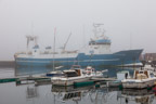 Im Hafen von Ísafjörður