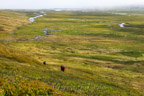 Skorarheiði