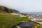Treibholz im Furufjörður