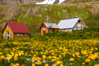 Häuser in der Bucht Hlöðuvík
