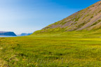 Fjordlandschaft