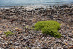 Am Strand