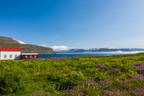Tag 13: Hesteyri - Ísafjörður