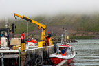 Zurück im Hafen von Ísafjörður