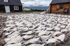 Trockenfisch vor dem 