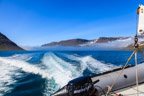 Baden in der Grönlandsee: kalt und voller Seetang