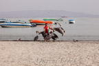 Zahme Pelikane am Strand von Paracas
