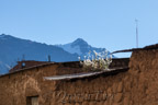Cabanaconde, auf dem Weg zum Colca-Canyon