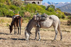 Cabanaconde, auf dem Weg zum Colca-Canyon