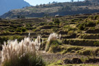 Cabanaconde, auf dem Weg zum Colca-Canyon