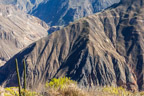 Colca-Canyon