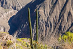 Colca-Canyon