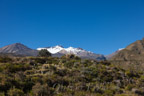 Rückweg zum Hotel, im Hintergrund der Nevado Hualca Hualca (6025 m)
