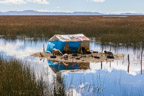 Titicaca-See, im Schilfgürtel (Totoral)