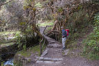 Auf dem Inka-Trail; Holzbrücke kurz hinter Tres Piedras
