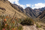 Auf dem Inka-Trail