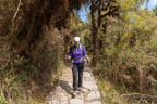 Auf dem Inka-Trail