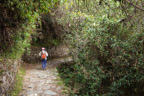 Abstieg nach Machu Picchu