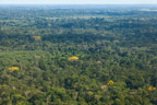 Flug von Cusco nach Puerto Maldonado; Regenwald