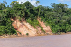 Auf dem Río Tambopata