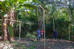 Streifzug durch den Regenwald; Indios beim Bau einer Hütte