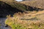Auf dem Laugavegur