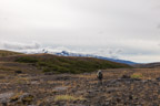 Auf dem Laugavegur, im Hintergrund der Eyjafjallajökull