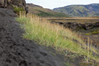 Auf dem Laugavegur