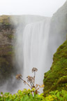 Skógafoss