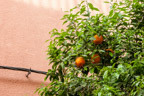 Unterwegs in Marrakech