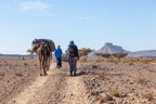 Unterwegs in der Hamada (Steinwüste)