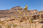 Oued L'mhasa