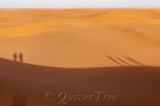 Aufstieg zur M'hamid Grand Dune