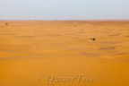 Idir mit seinem Dromedar verliert sich in der Weite der Wüste