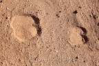 Spuren im Sand