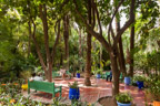 Marrakech, Jardin Majorelle