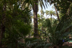 Marrakech, Jardin Majorelle